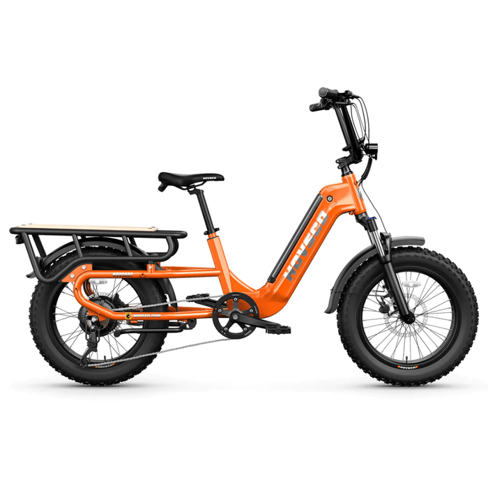 HOVSCO™ HovCart Step-Thru Fat Tire Cargo Electric Bike