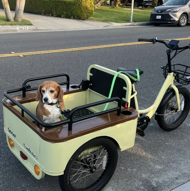 OH WOW Conductor Plus Rickshaw parked with dog in the back.