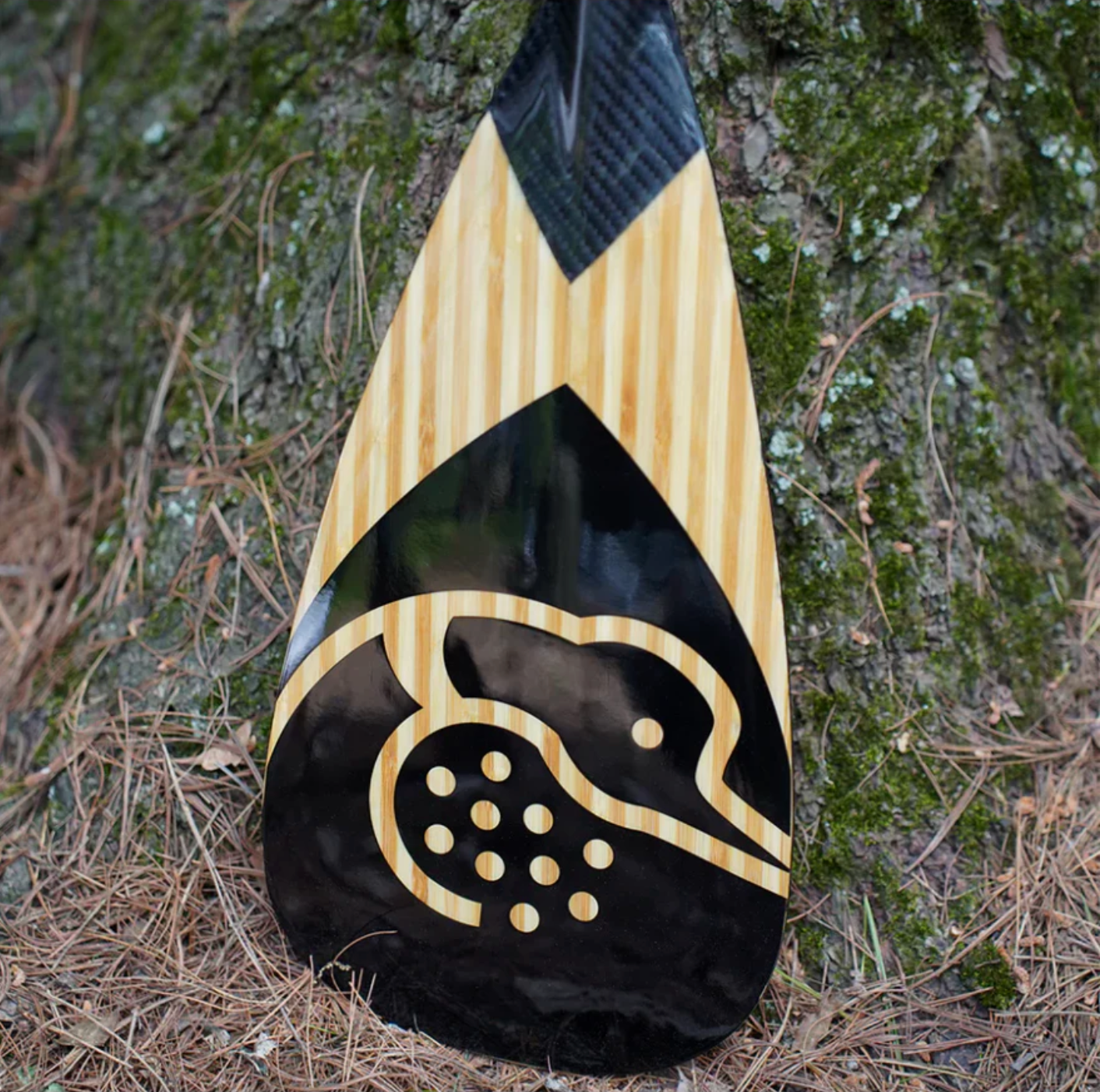 Loon Paddle Company Carbon & Bamboo Superbird Paddle Standing In Front Of Tree