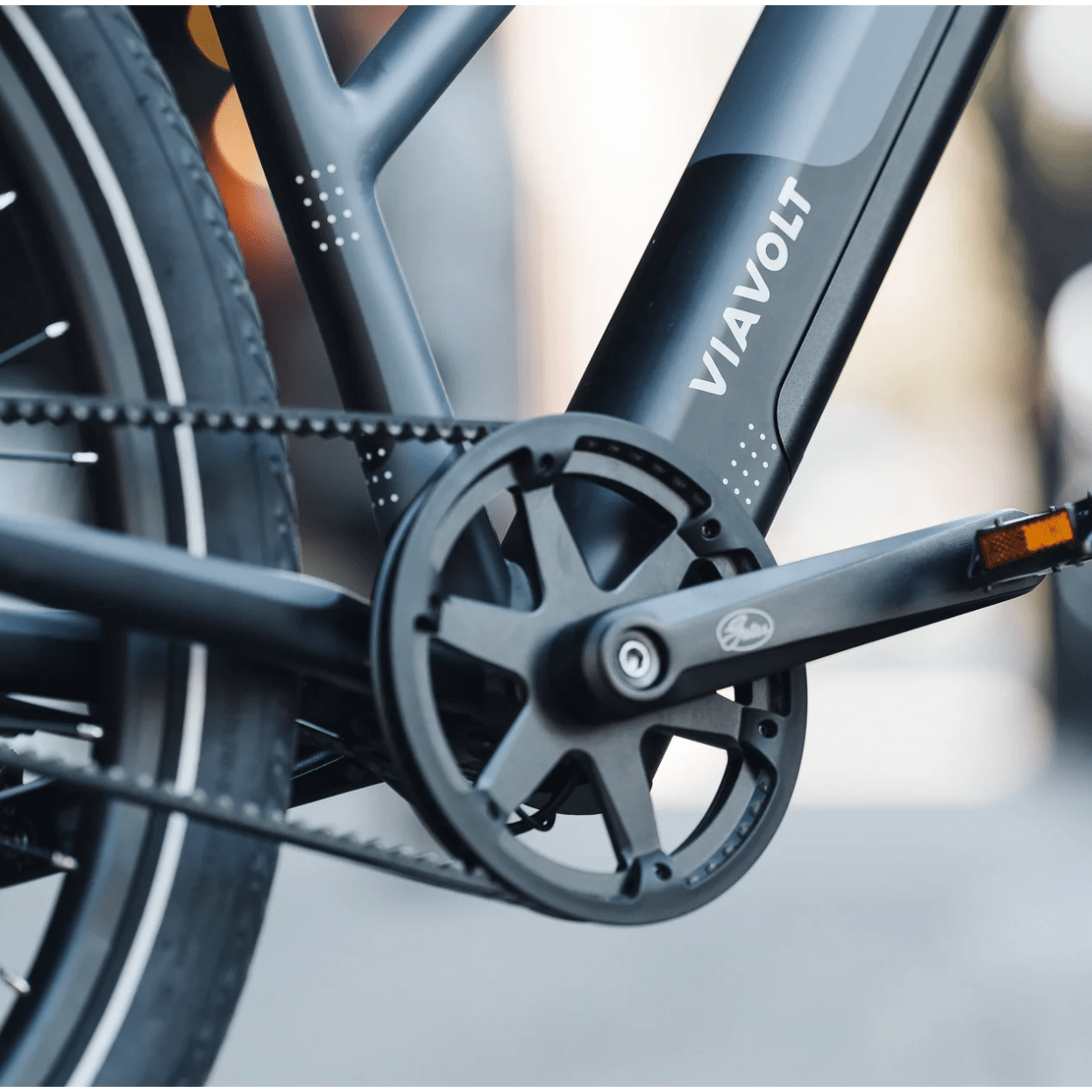 Close view of Vvolt Alpha II E-Bike Gates Carbon Drive. 