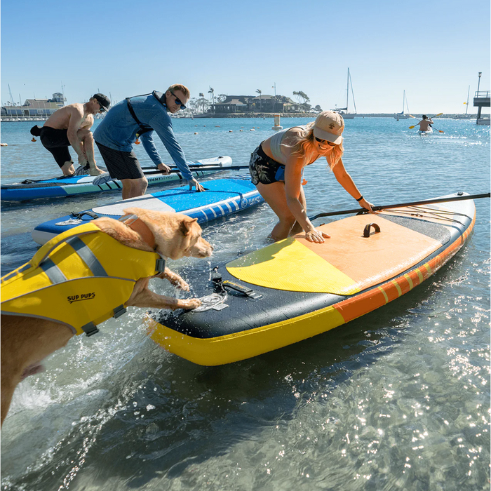 Girl holding a Jimmy Styks Mutt 10'4" iSUP steady in the water for dog to jump on.