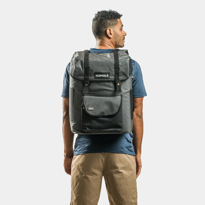 ICEMULE Urbano 30L Cooler