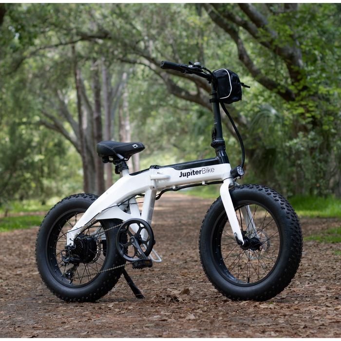 Jupiter Bike Defiant Fat Tire ebike in woods. 