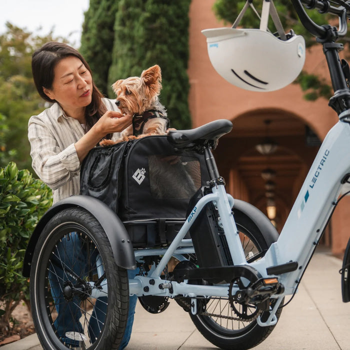 Dog in pet carrier on a Lectric Trike2 Glacier Blue eTrike.