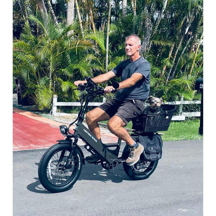 Man riding Lectric XP4 folding electric bike on paved path with palm trees in background.