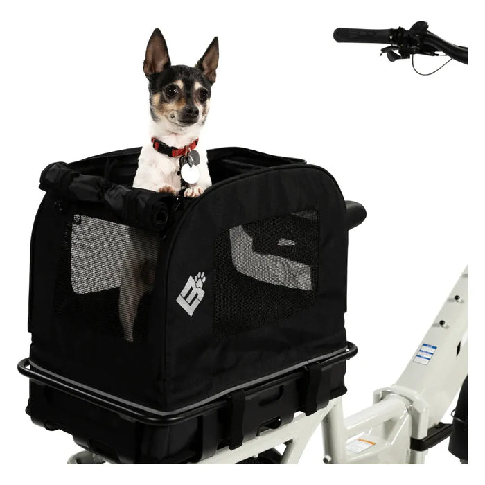 Dog in a Lectric small pet carrier attached to a basket on the back of a bicycle