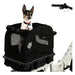 Dog in a Lectric small pet carrier attached to a basket on the back of a bicycle