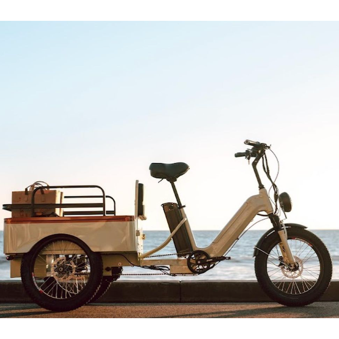 Oh Wow Cycles Conductor+ Plus Electric Trike parked near the ocean with groceries in cargo area. 