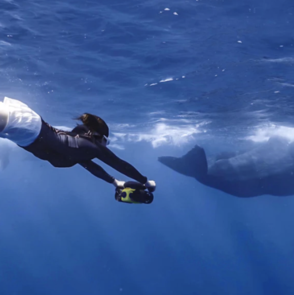 Snorkeler propelling underwater with LEFEET C1 Sea Scooter behind fin of marine animal. 