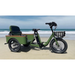 Oh Wow Cycles Conductor+ Plus in green on the beach.