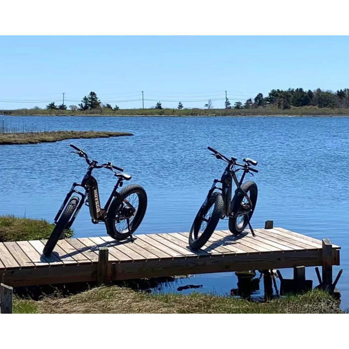 Two HOVSCO HovAlpha Electric Bikes parked on a dock on a lake.