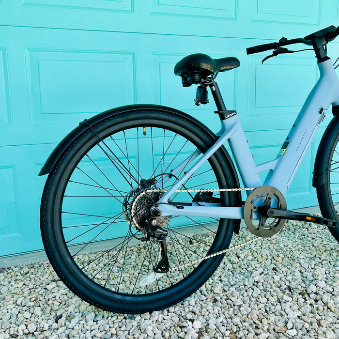 Urtopia Carbon ST back ebike tire in front of aqua colored door. 
