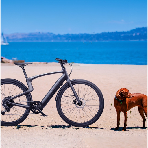 Matte Black Urtopia Carbon 1 Pro Electric Bike parked on a beach with a dog in the sand.