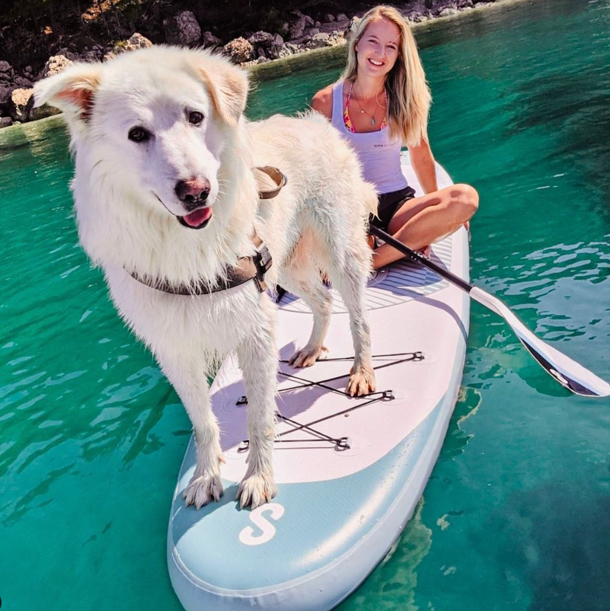 Large white dog on front of SipaBoards Drive Allrounder Electric SUP with woman on back in the water with paddle.
